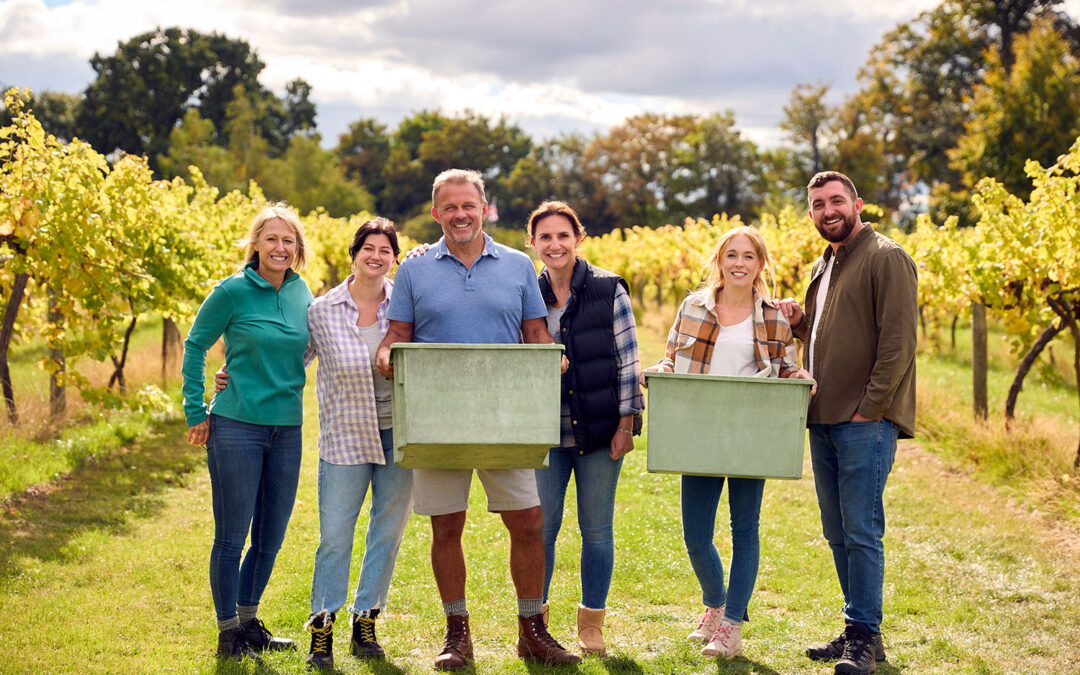 The World’s 10 Best Vineyards to Visit