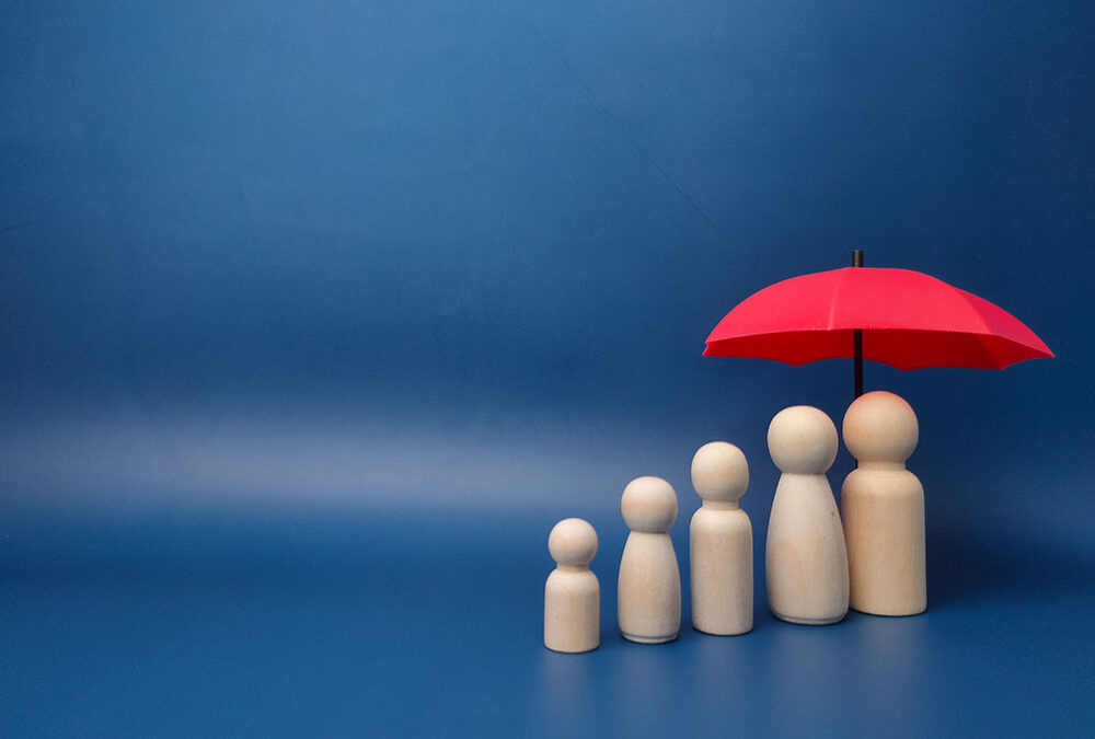Insurance Reviews & Protection Needs