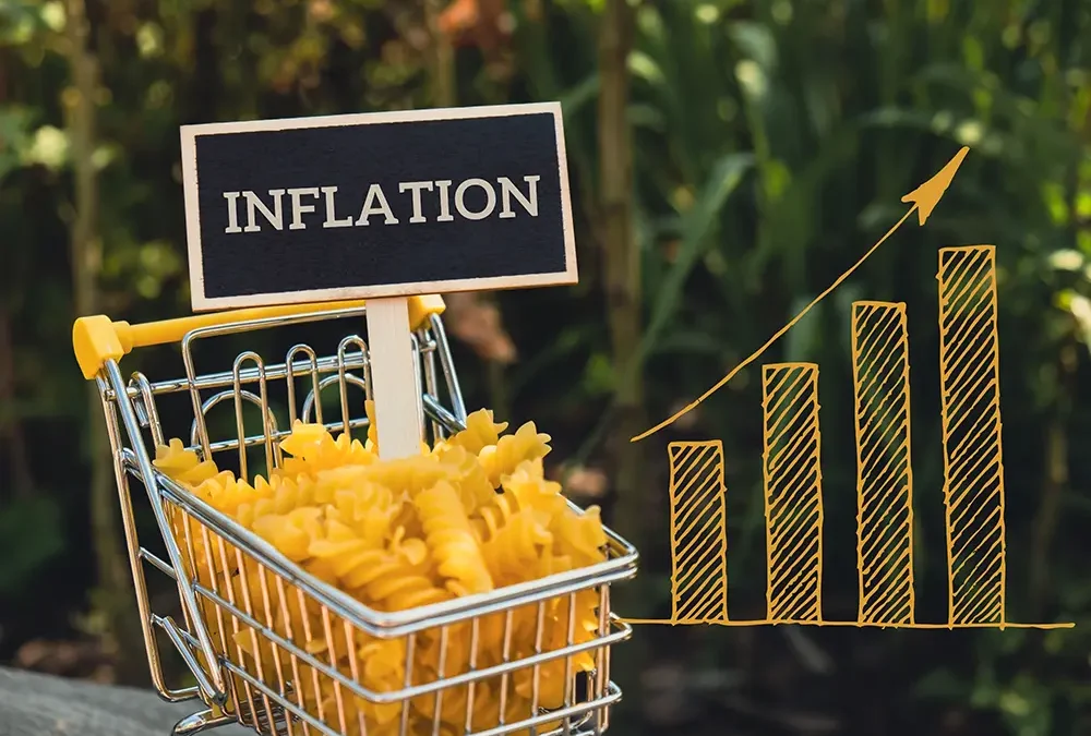 A Guide to Inflation